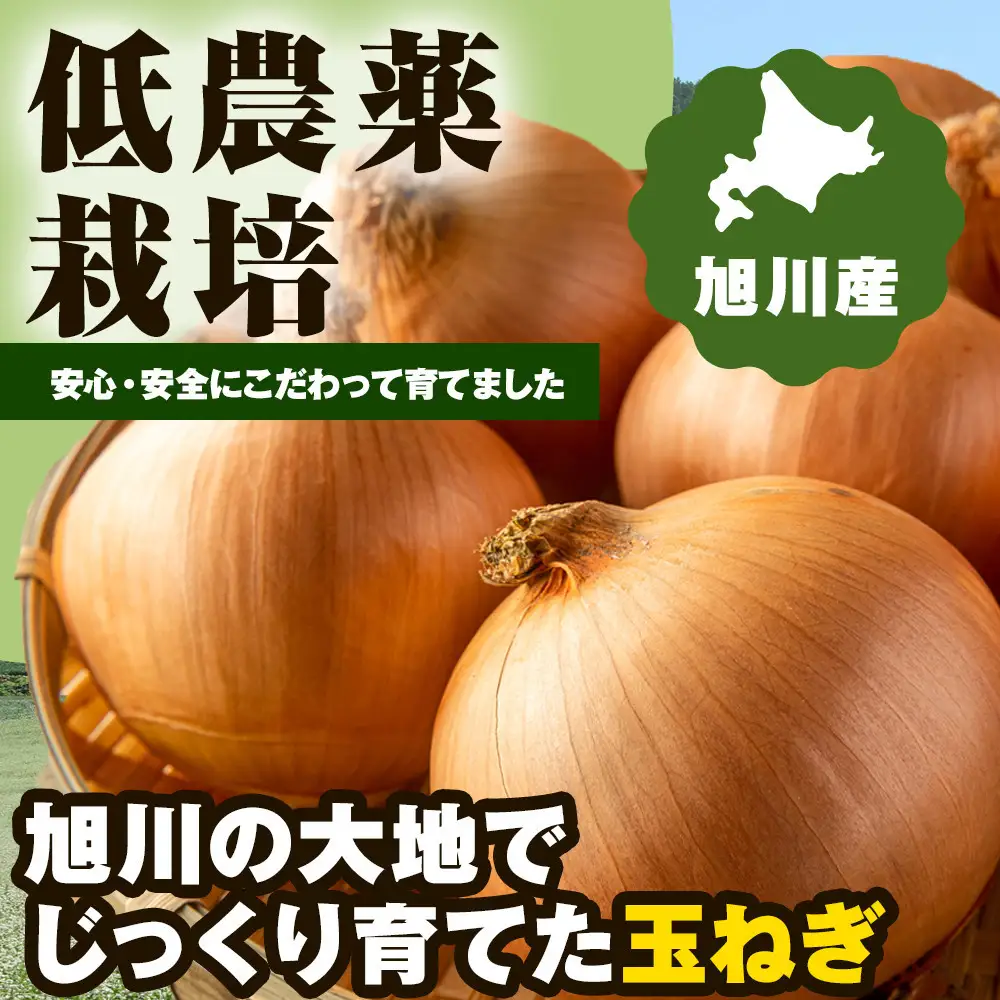 【先行予約】農家直送 低農薬 旭川産 玉ねぎＬサイズ10kg(2026年9月発送開始予定)_06552