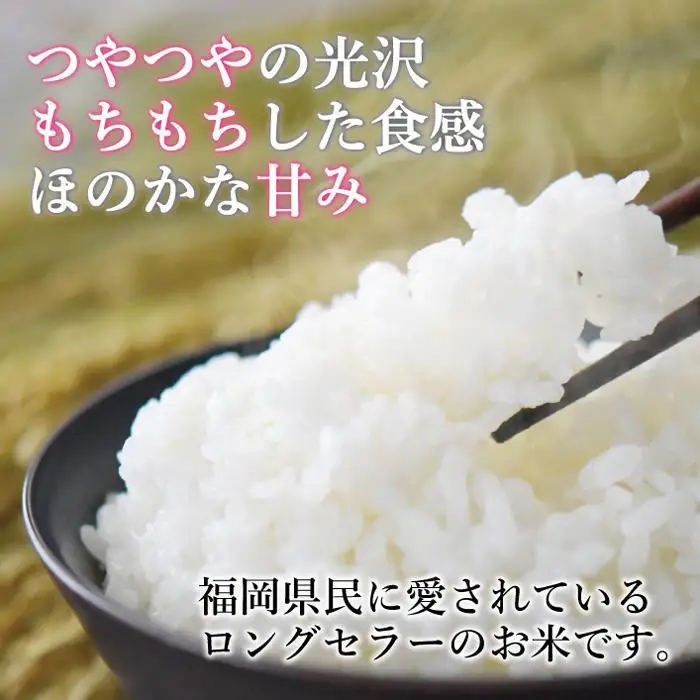 新米 【無洗米】令和8年産 夢つくし 5kg 福岡県