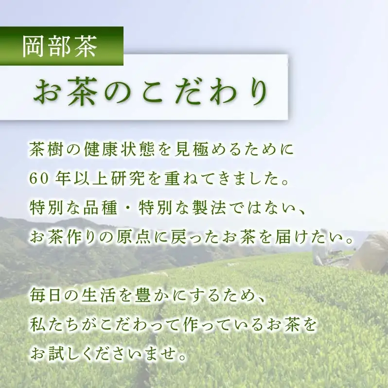 【2027年1月下旬発送】深蒸し茶 粉茶 400g×2袋 800g  深蒸し茶
