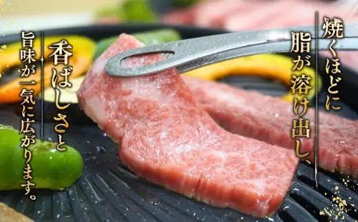 神戸牛カルビ焼肉200g×2 計400gセット 93-07-s