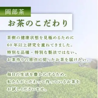 緑茶 茶葉 オーガニック 100g×3袋 300g セット 