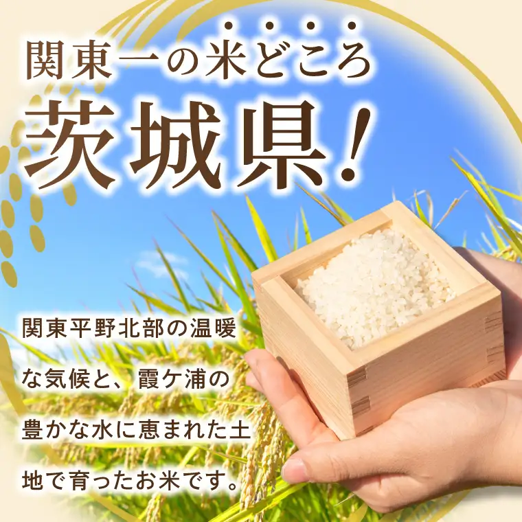 米 にじのきらめき 精米 15kg 令和8年産 茨城県産 お米 こめ コメ ごはん 白米 ニジノキラメキ 茨城県産米 単一米 単一原料米 安心 安全 送料無料 国産 人気 数量限定（85-R8i217_02）