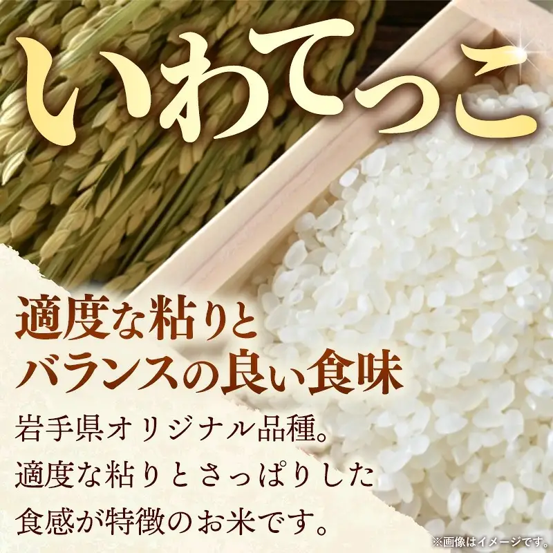 いわてっこ 5kg 令和8年度産 白米 新米 いわてっこ