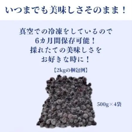 【毎月定期便】冷凍ブルーベリー2kg(500g×4パック)全12回【配送不可地域：離島】【4092943】