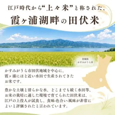 【毎月定期便】田伏米のコシヒカリ 精米10kg かすみがうら市全12回【4093197】