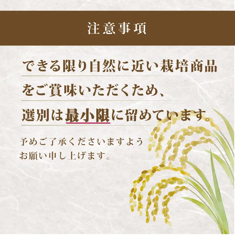 【令和8年産 新米】夢ごこち 5kg 白米 環境こだわり米 お米 