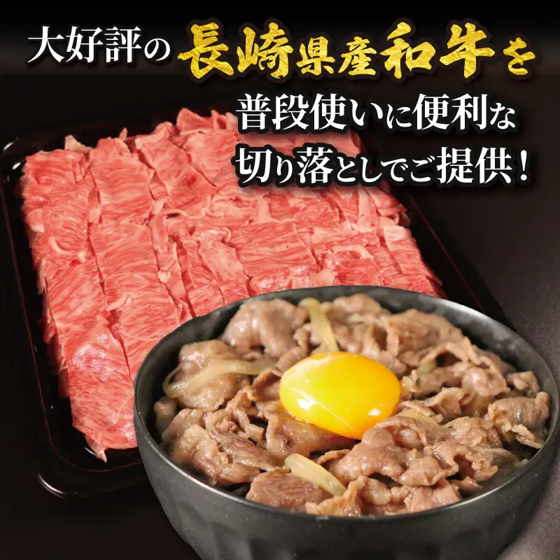 訳あり 長崎県産 和牛 切り落とし (500g) 訳あり 牛肉 黒毛和牛 限定品