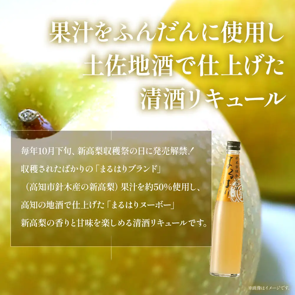 ゆずジンジャーリキュール まるはりヌーボー 500ml 各1本 - セット 詰め合わせ お酒 リキュール アルコール 酒 飲み比べ 柚子 生姜 梨 新高梨 果実酒 地酒 食中酒 晩酌 アルコール 飲み物 飲料 高木酒造 高知県 香南市 常温 冷蔵 gs-0213