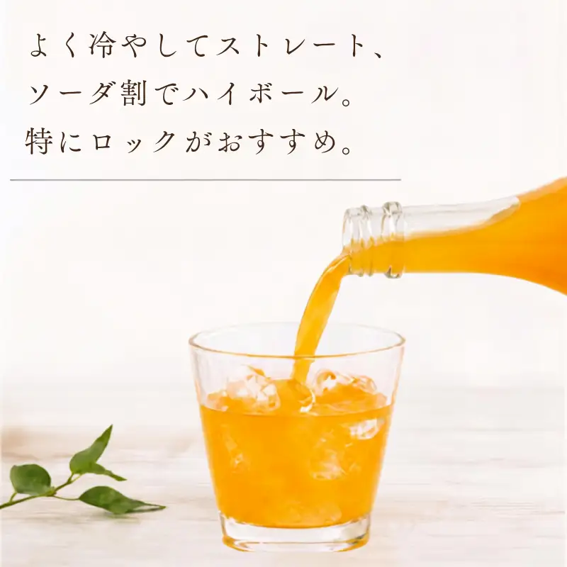 リキュール みかん 300ml × 2本 リキュール