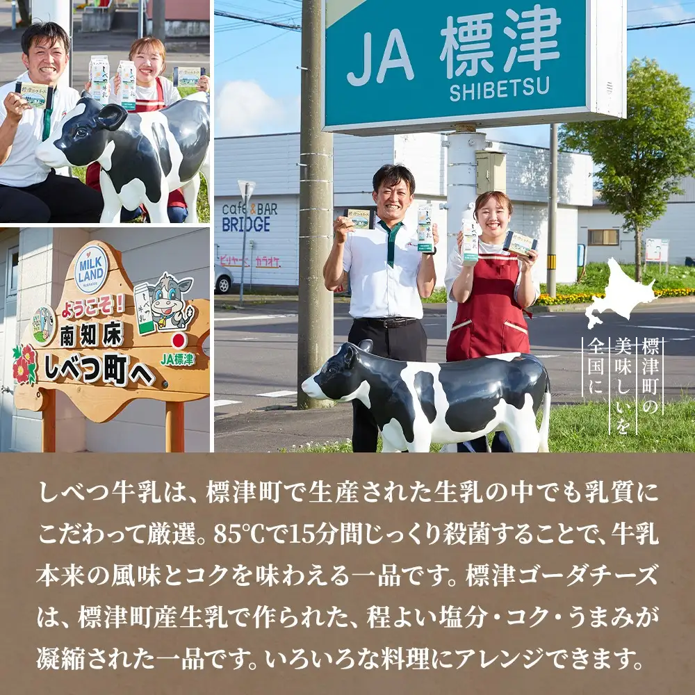 北海道産 牛乳 チーズ 詰め合わせ 【AE】乳製品詰め合わせ