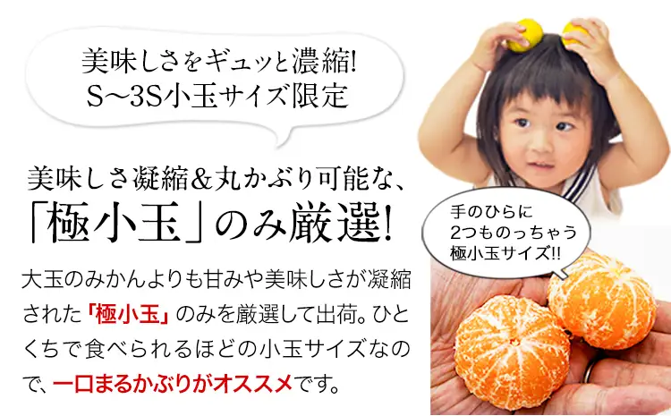 訳あり みかん 小玉 ひとくちもぎたてみかん 約 10kg