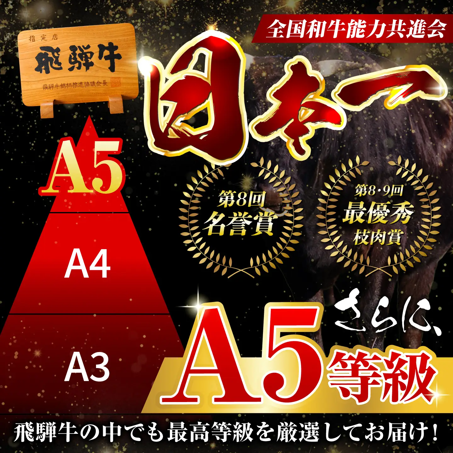 【3回定期便】飛騨牛 サーロイン(ステーキ用)800g(200g×4枚)飛騨牛 国産 肩ロース ロース ステーキ 黒毛和牛 和牛 牛肉 BBQ steak 岐阜県 / 御嵩町 / 馬力家[AVBO099]