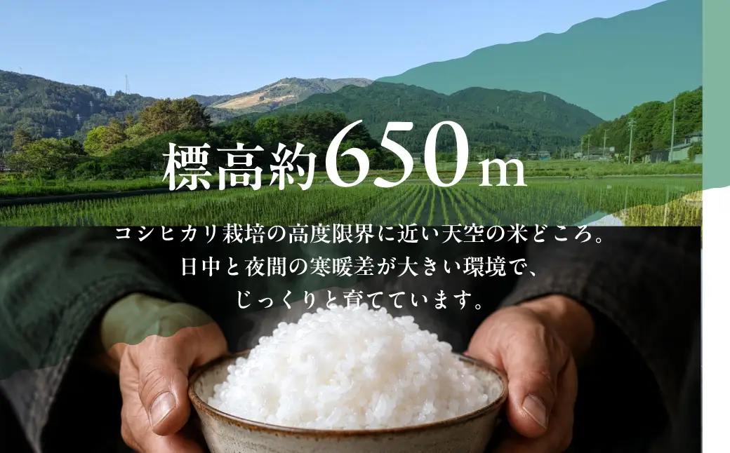 【令和8年度産】位山源流米 コシヒカリ10kg | 新米 米 ごはん 農家 コシヒカリ おいしい 飛騨高山 ファームやまじん TD002