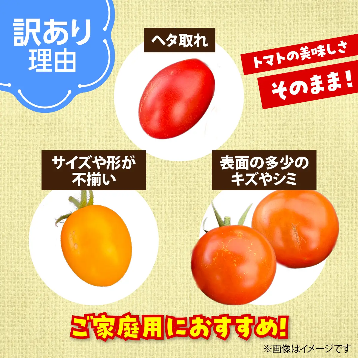 【2027年7月より発送】【訳あり】カラフルミニトマト約2kg(5種以上) 大作農園 北海道壮瞥町 SBTR013