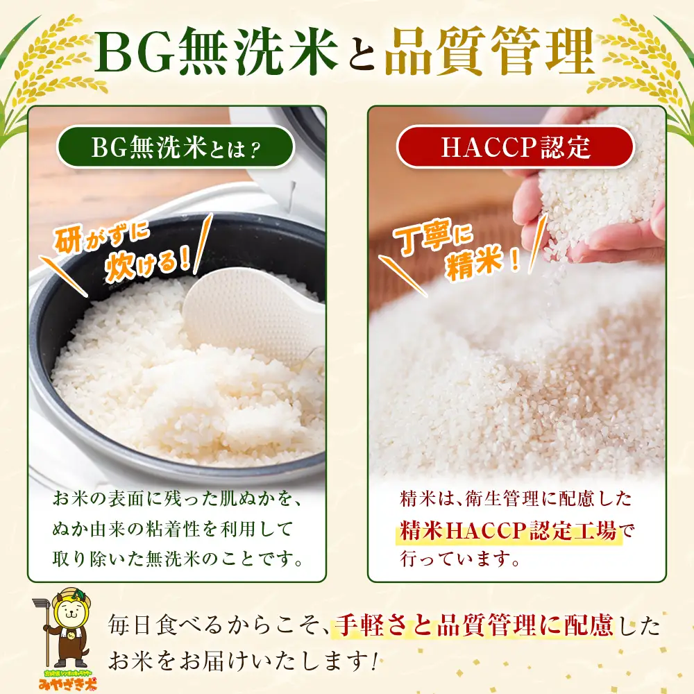 令和8年産 無洗米 こしひかり 10kg 宮崎県産 米 コメ 精米 BG無洗米 HACCP コシヒカリ