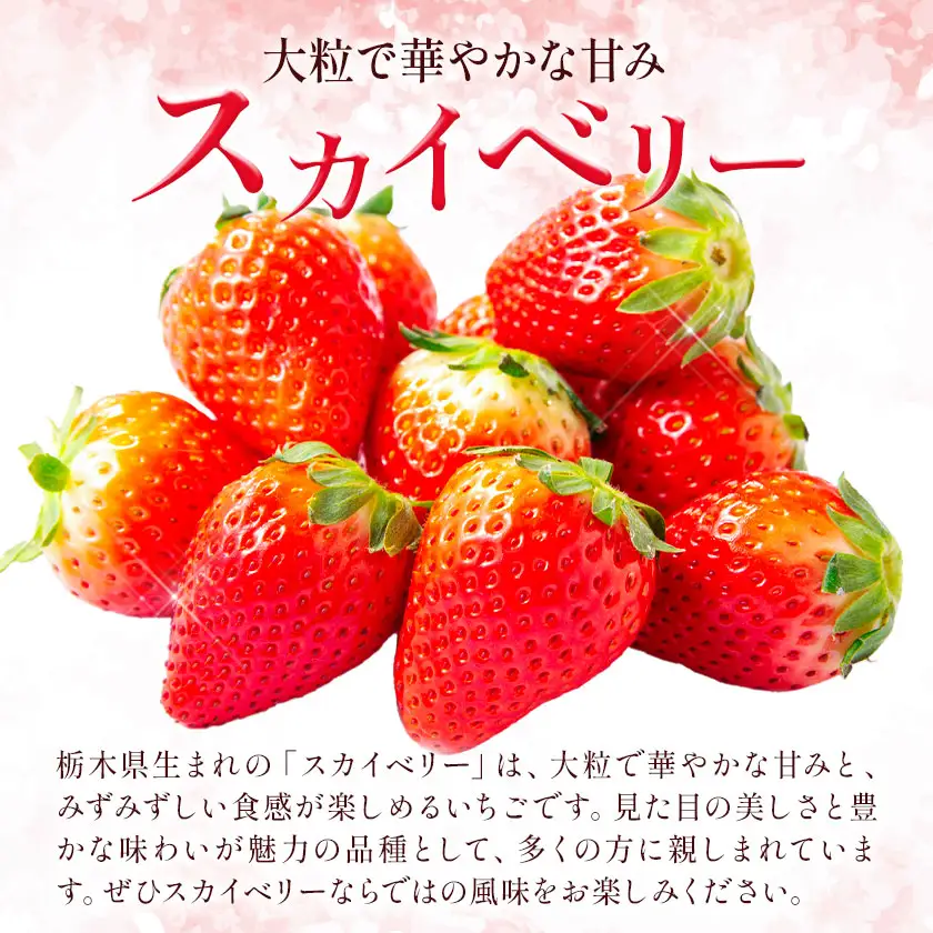 完熟 朝摘み スカイベリー 約280g 2パック 計560g 澳原いちご農園
