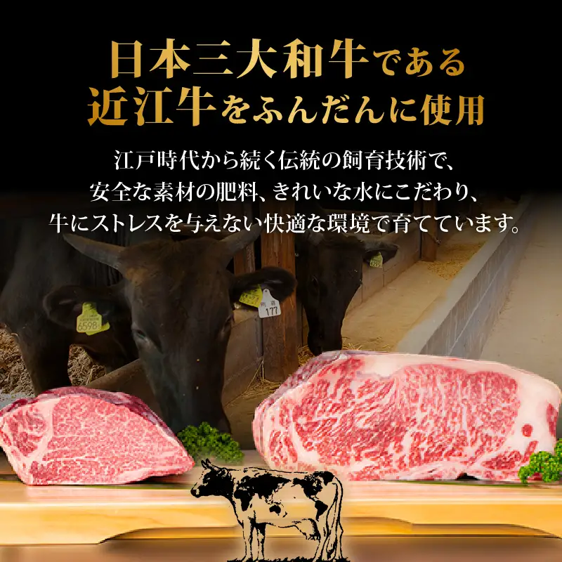 【レンジ対応可】 近江牛 入り ハンバーグ 12個 デミグラス ソース