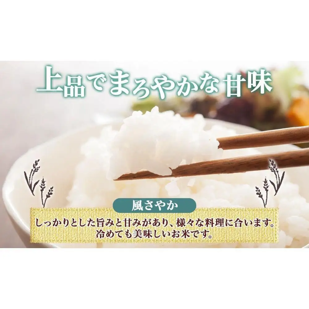 【2026年10月発送】令和8年産 コシヒカリ 風さやか 白米 各5kg 長野県産 米 精米 お米 ごはん ライス 甘み 農家直送 産直 信州 人気 ギフト お取り寄せ 平林農園 送料無料 長野県 大町市