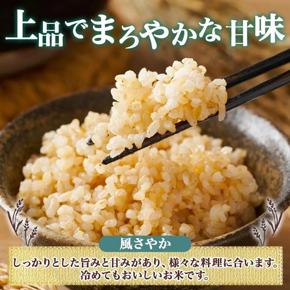 【2026年10月発送】令和8年産 コシヒカリ 風さやか 玄米 各5kg 長野県産 米 お米 ごはん ライス 低GI 甘み 農家直送 産直 信州 人気 ギフト お取り寄せ 平林農園 送料無料 長野県 大町市