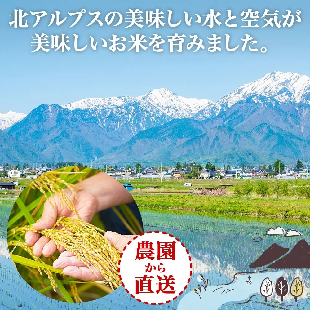 【2026年10月発送】令和8年産 つきあかり 白米 10kg×1袋 長野県産 米 精米 お米 ごはん ライス 甘み 農家直送 産直 信州 人気 ギフト お取り寄せ 平林農園 送料無料 長野県 大町市