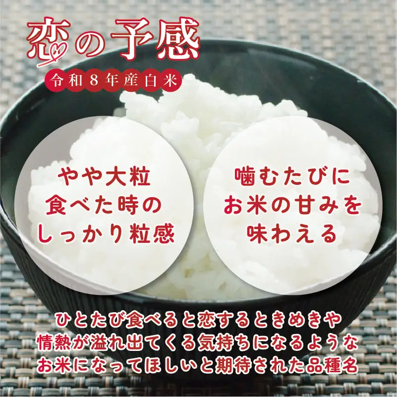 【令和8年産】 新米 恋の予感 白米 5kg 減農薬 こいのよかん ひこにゃん米 米 ごはん 滋賀 彦根