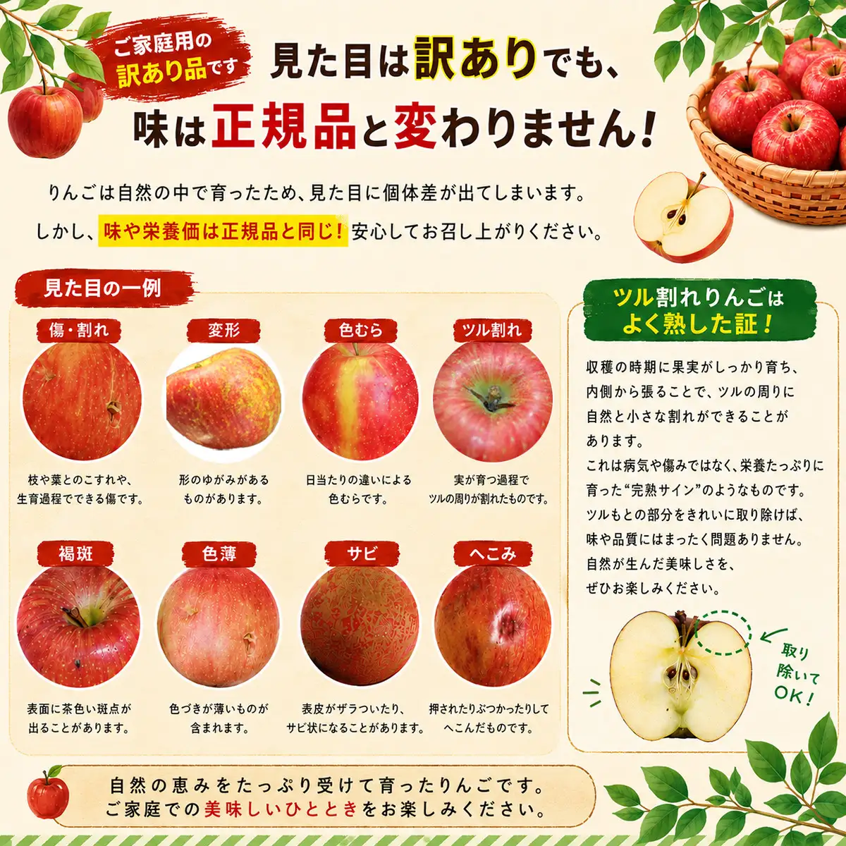 【2026年先行予約】長野市産 サンふじ 訳あり りんご 5kg｜信州りんごの名産地からお届け｜家庭用・不揃い・傷ありでも甘さ抜群｜信州りんごの本場からお届け｜家庭用・規格外｜【2026年12月から発送予定】