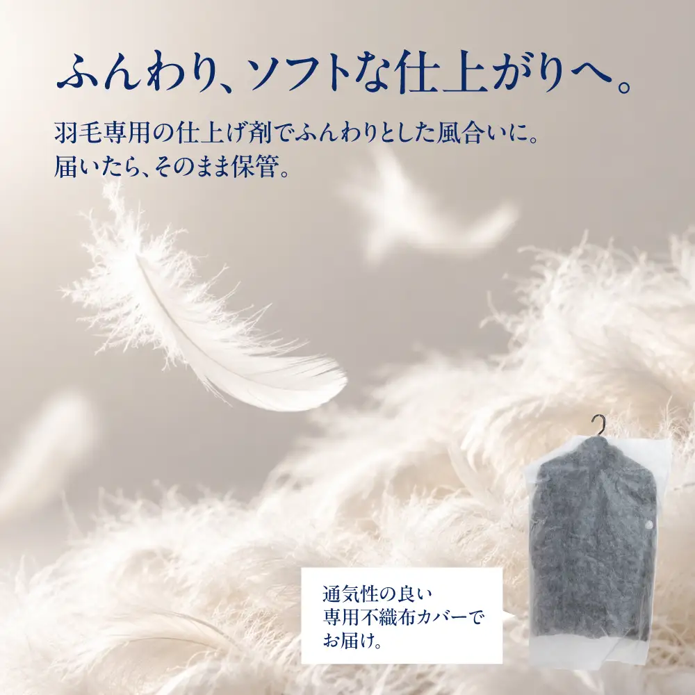 高級ダウンクリーニング(4点)