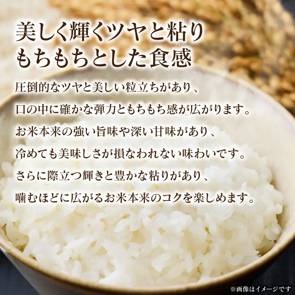 精米 《令和7年産》 くまさんの輝き 5kg×1袋  精米