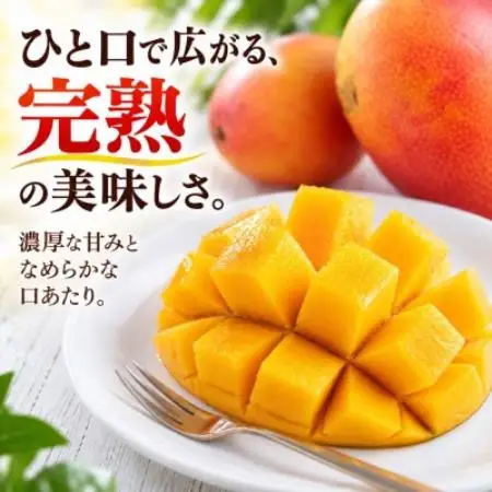 【2027年6月下旬から順次発送・贈答用】完熟アップルマンゴー約1.5kg(3玉～6玉)【配送不可地域：離島】【1783972】