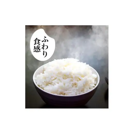 【ふるさと納税】 令和8年産 新米 コシヒカリ 定期便 5kg 3回 