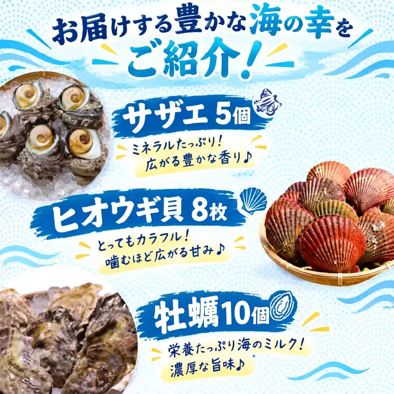 【着日指定可能】 カンカン焼き 牡蠣 ヒオウギ貝 サザエ (冷凍) / 贈答 BBQ 浜焼き