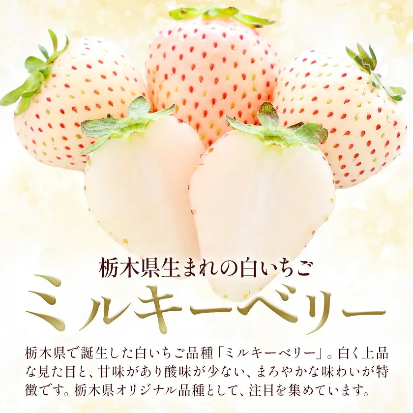 ミルキーベリー 約280g 2パック 計560g 澳原いちご農園