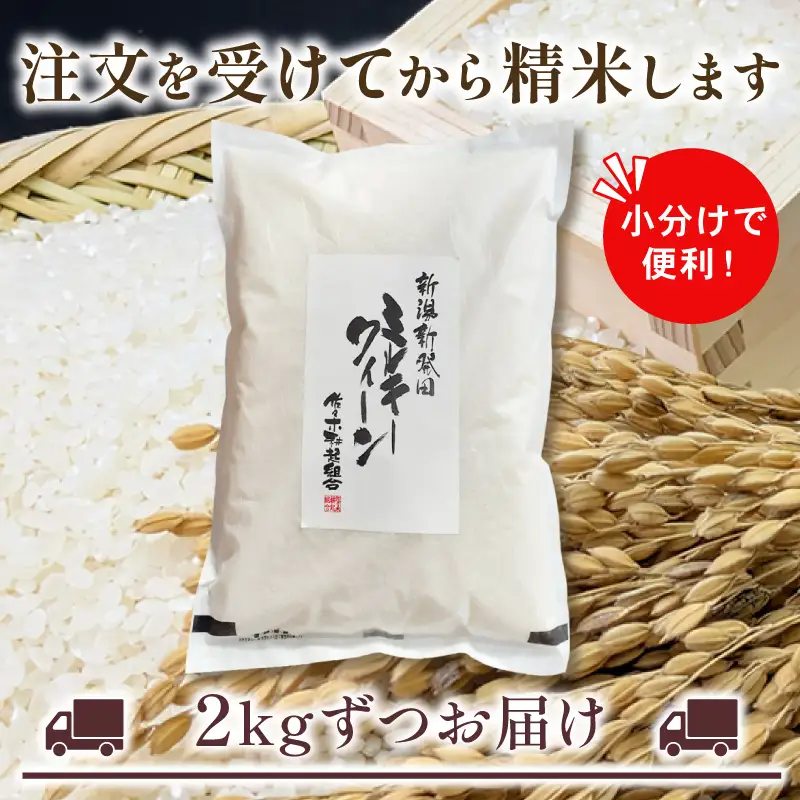 【新米 定期便】 令和8年産 新潟県産 ミルキークイーン 2kg × 6ヶ月 米 お米 ごはん 白米 佐々木耕起組合 プレゼント ギフト 贈答 定期便 特別栽培米 佐々木耕起 佐々木こうき 新潟県新発田市産 ssk015
