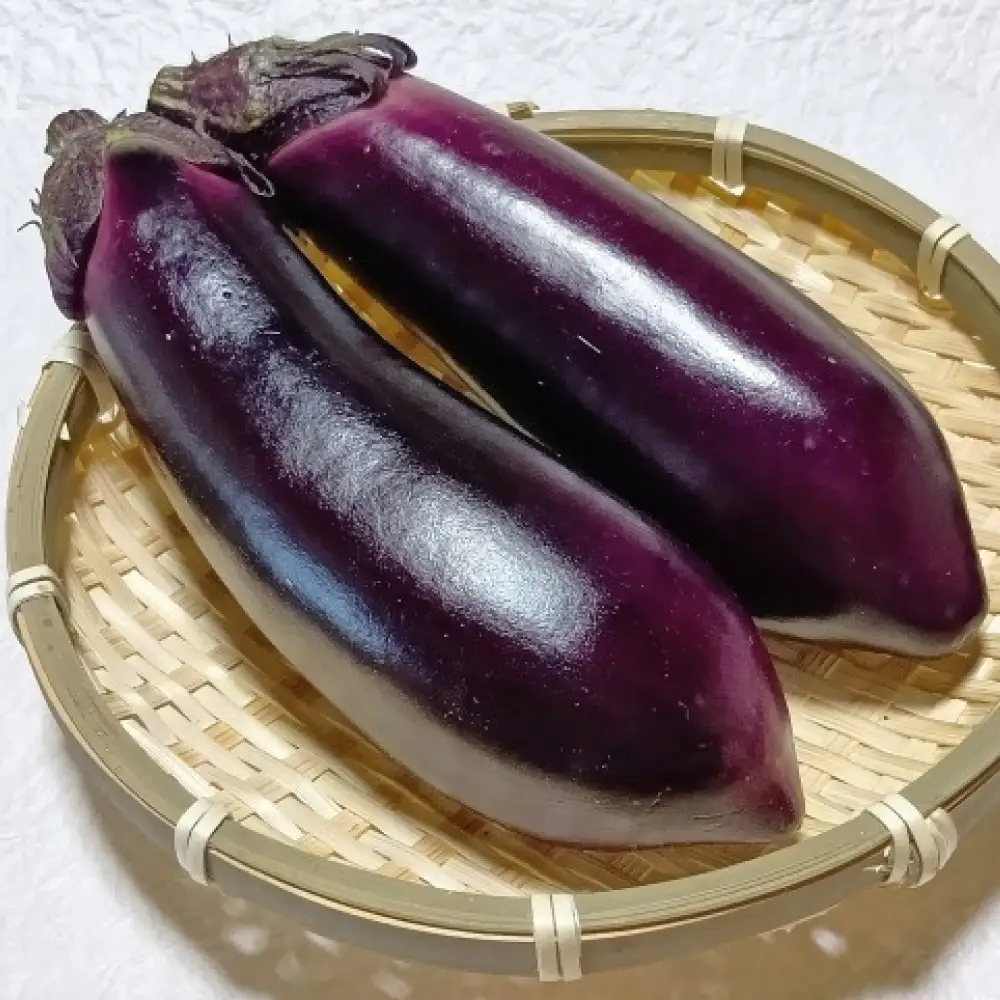 くまもと むぞらしか美ぃナス （ ビーナス ） 2kg （ 熊本県産 ） ナスビ 野菜 和食 洋食 中華 おかず おつまみ 旬の野菜 季節の野菜 旬 季節 焼きナス 国産 【 2026年11月上旬～2027年5月下旬迄発送 】