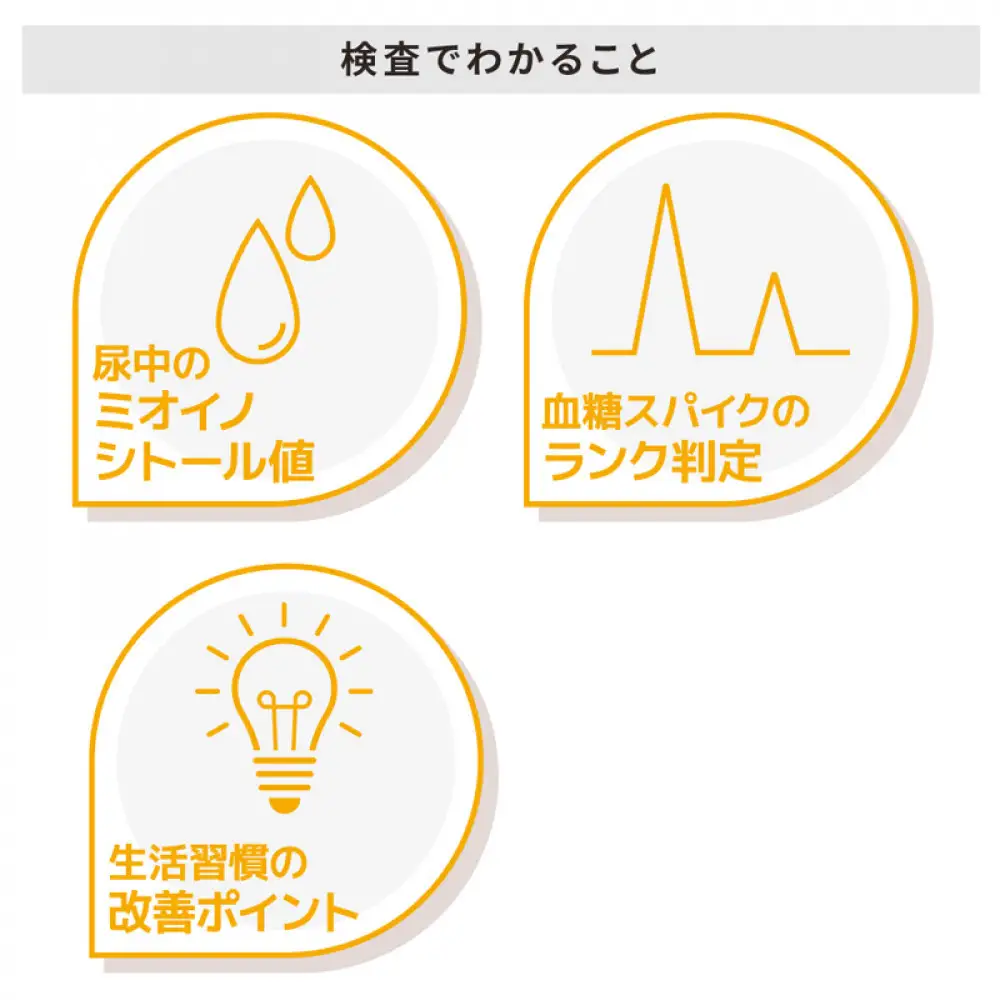 血糖スパイク検査 「スパイクチェック」
