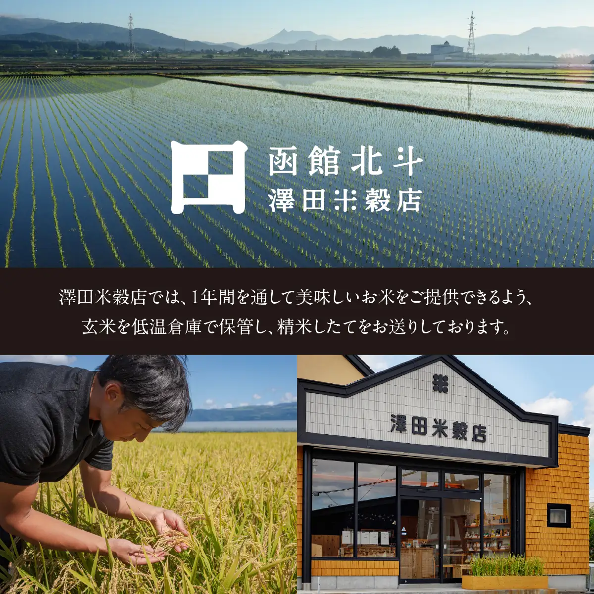 【令和8年産】【無洗米】北斗市産特別栽培米ふっくりんこ4.5kg HOKH036