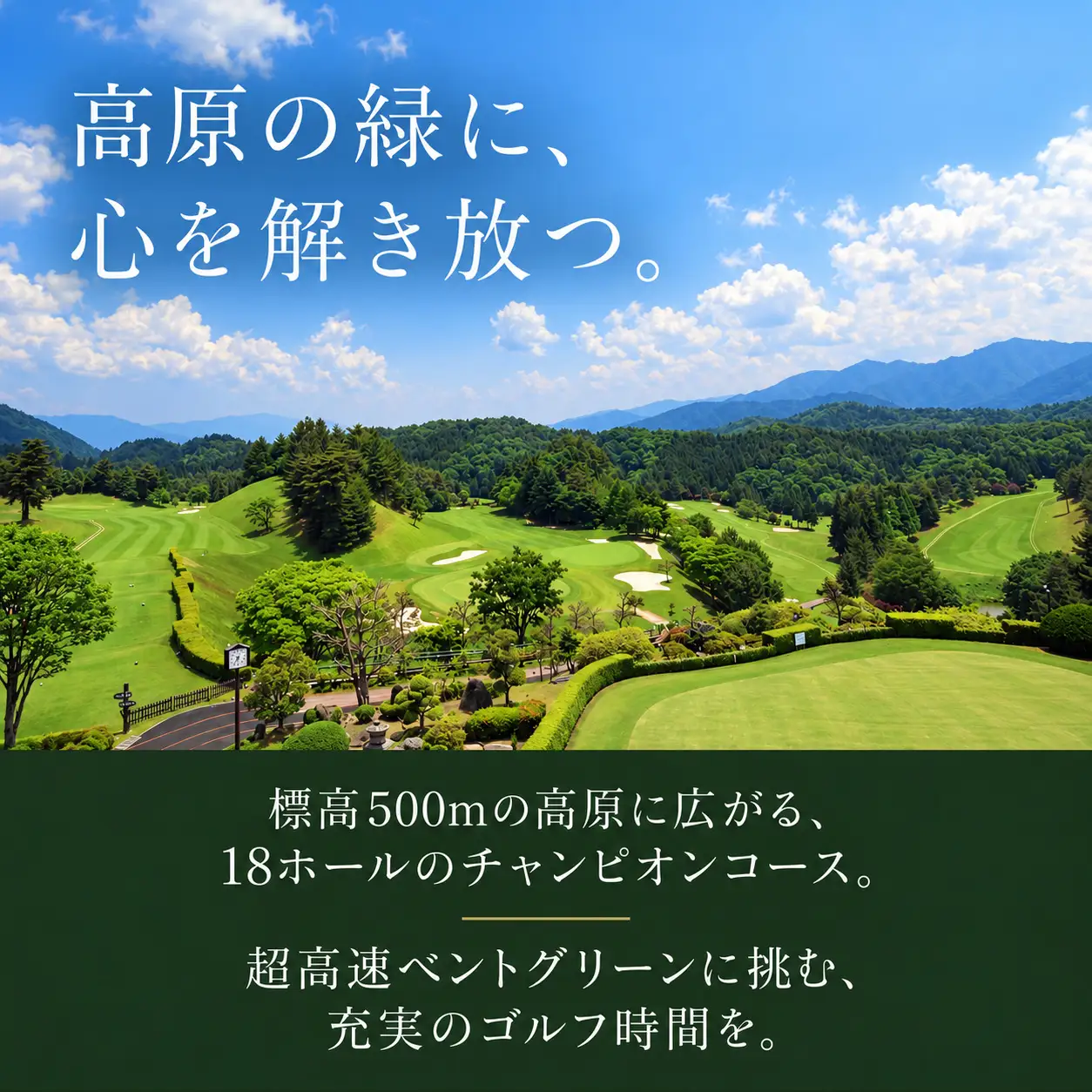 山荘 天の里 ゴルフ＆ステイエクスペリエンス スイートルーム 1名様用 【amst001】