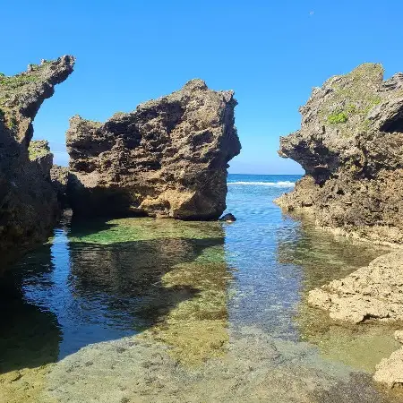 徳之島オーガニックソルト 新月の塩 1kg
