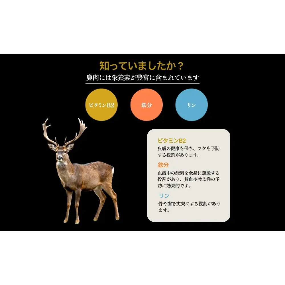 ペット用 こまぎれ鹿肉ほろほろ煮 (100g×3) あいむふぁっと Deli Deer デリディアー ふるさと納税 高たんぱく 低脂肪 低カロリー 鹿肉 犬 無添加 国産 奈良県 宇陀市