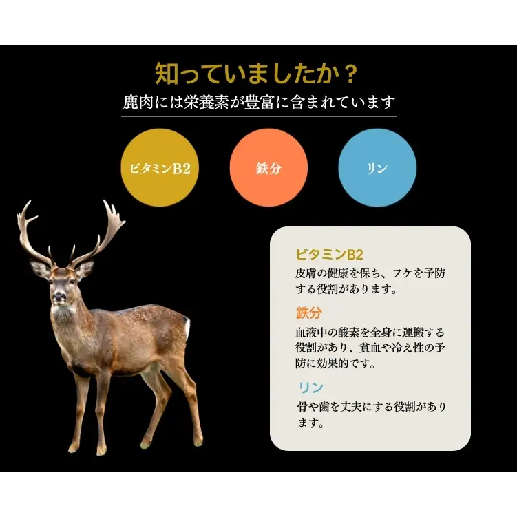 【お試し3種セット】ペット用 鹿肉レトルト食べ比べセット(100g×3袋)　 やわらか鹿肉ステーキ 鹿肉ほろほろ煮 鹿肉と玄米のリゾット あいむふぁっと Deli Deer デリディアー ふるさと納税 高たんぱく 低脂肪 低カロリー 鹿肉 犬 無添加 国産 奈良県 宇陀市