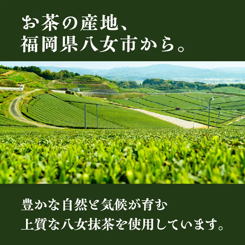 【ジャパン・フード・セレクション】八女濃香抹茶ミルク饅頭 露誉【ふるさと愛プロジェクト】 饅頭 お茶村 八女抹茶 露誉 高校生コラボ グランプリ 福岡県 八女市 077-FP26-01