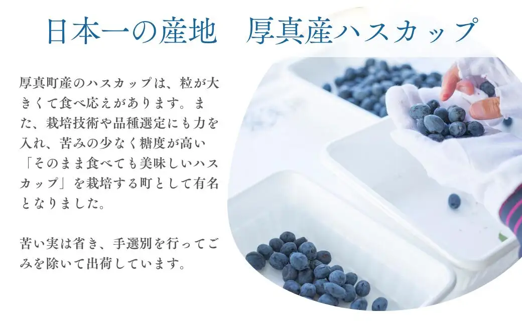 冷凍 ハスカップ 計1kg [AXAB086] ハスカップ
