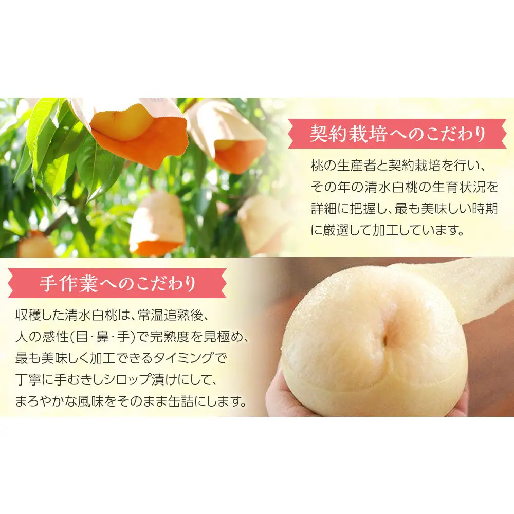 岡山県産　清水白桃缶詰２缶
