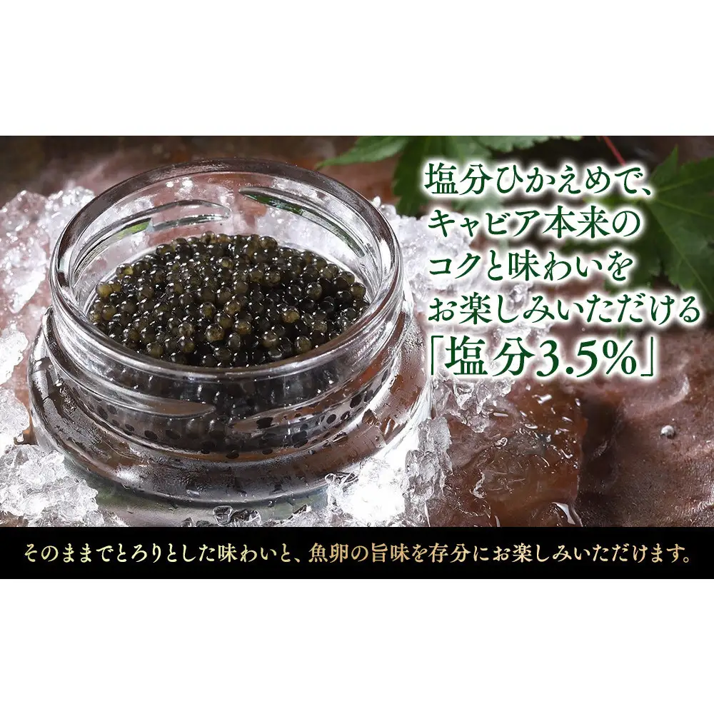 新見フレッシュキャビア　塩分3.5%　15ｇ