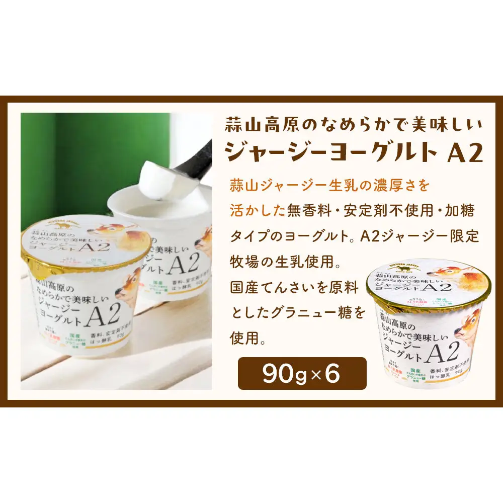 蒜山ジャージーヨーグルト 12点セット（H-972）