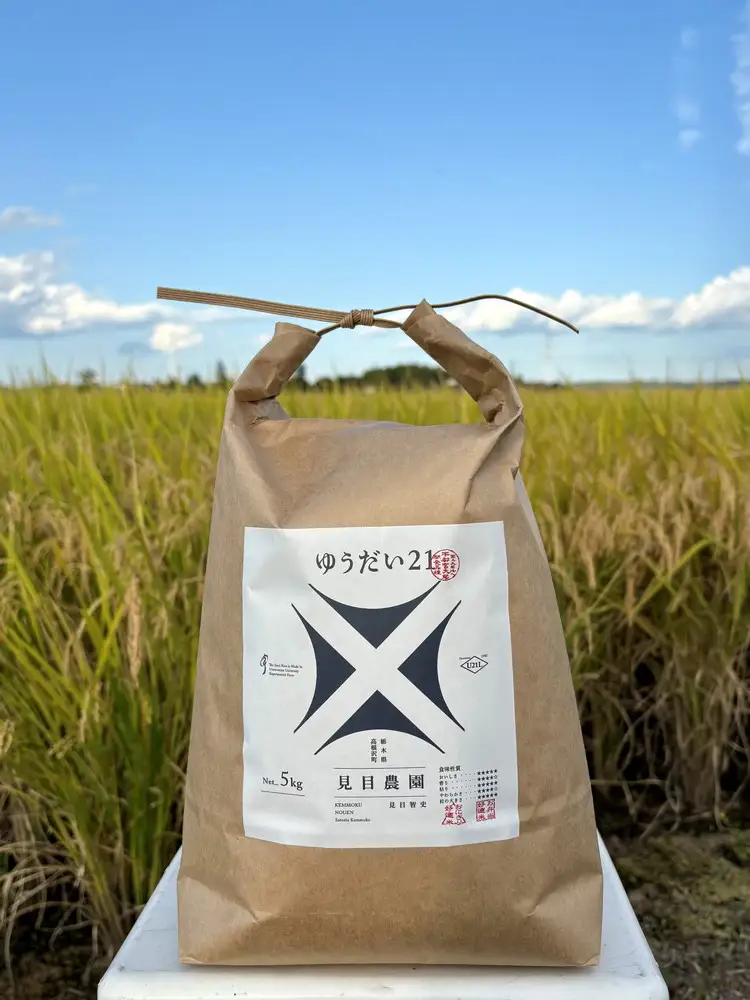 【栃木県高根沢町産】令和８年産「ゆうだい21」精米5kg｜お米 米 ご飯 ごはん 白ご飯 国産 新米