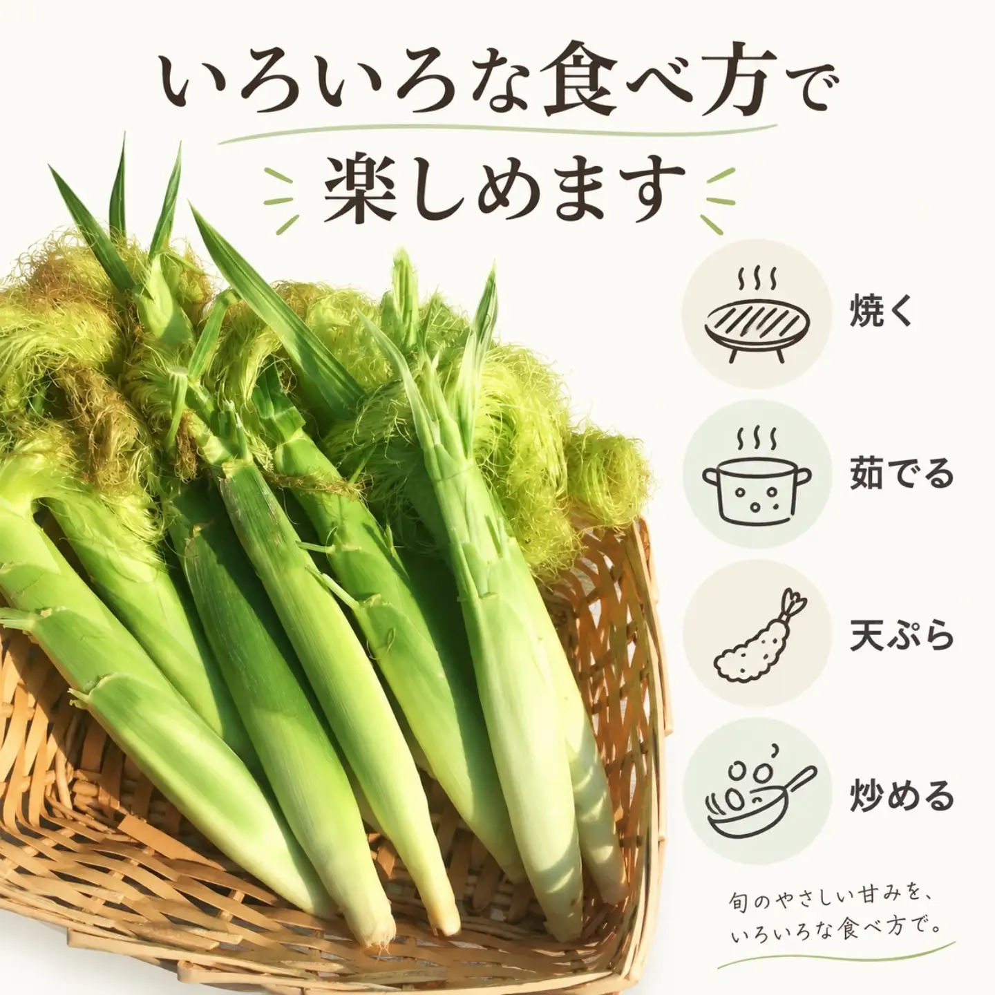 【2027年発送】山梨県産 ヤングコーン　とうもろこし 50本入｜とうもろこし