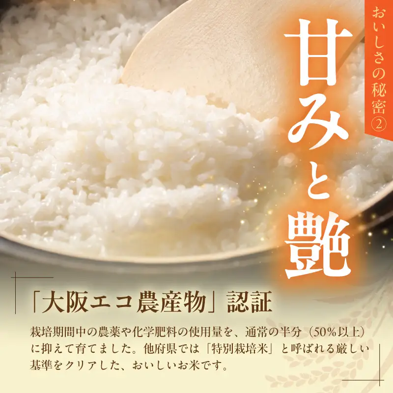 令和8年産 泉佐野産 にじのきらめき 5kg