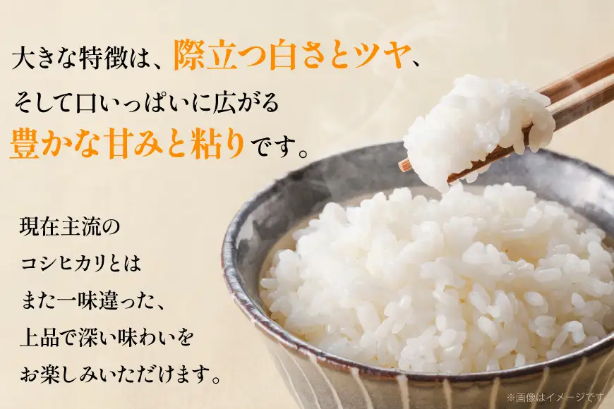 米 令和8年産 つや姫 白米 5kg