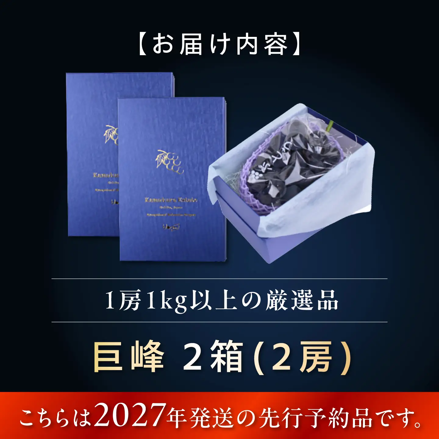 【2027年発送 先行予約】種なし巨峰2房 BKBI004 ぶどう